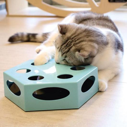 Tabby kitten pushing its face and paw into the holes of a light blue hexagonal automatic cat toy on a wood floor