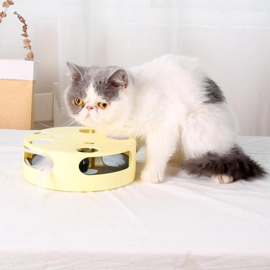 White and gray cat beside the yellow version of the automatic cat toy, a round drum with paw holes and a feather inside