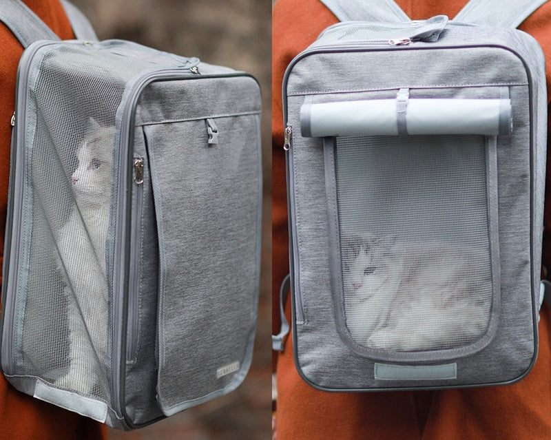 Clear bubble pet carrier handbag with the transparent dome panel in view.
