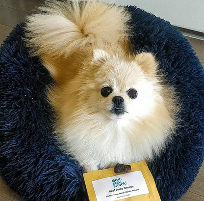 Plush donut bed sized for a cat or a small dog.