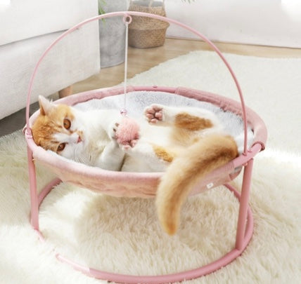 Ginger cat lying in the pink hammock cat bed on a fluffy rug.