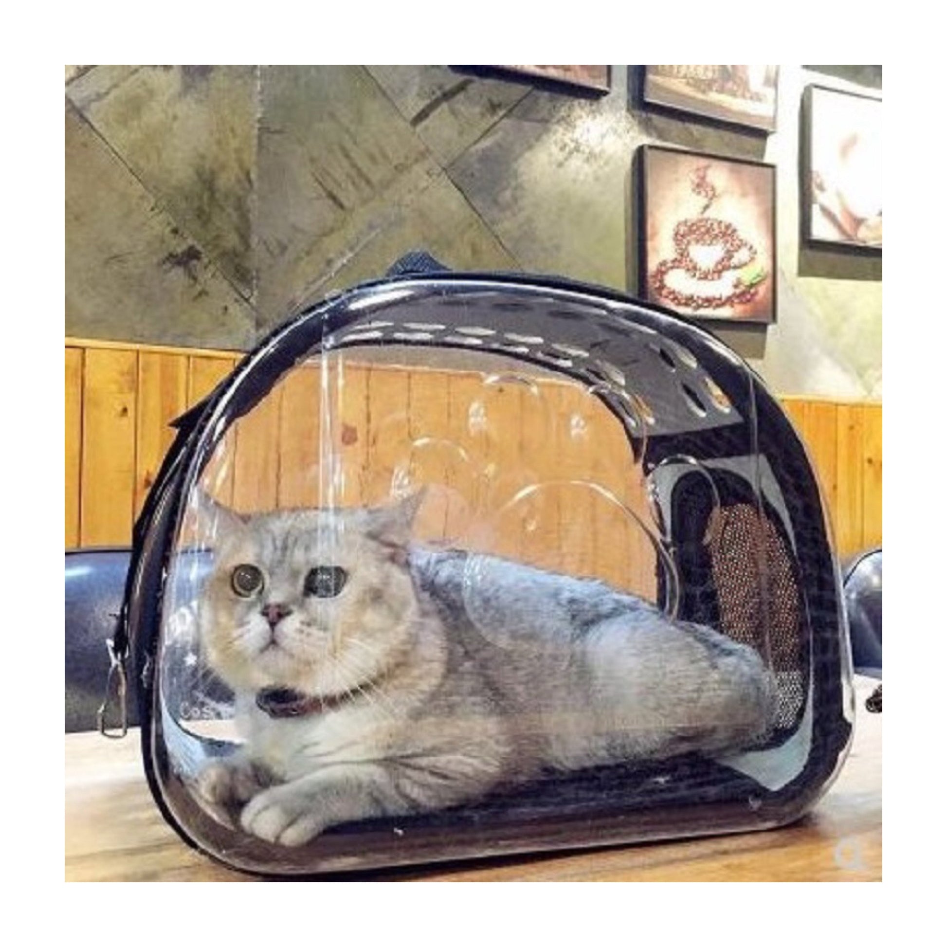 Clear pet carrier bag showing the paw shaped vents along the side.