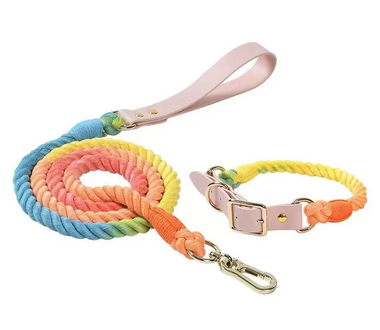 Rainbow cotton rope leash and matching collar with a blush leather tab and brass clip.