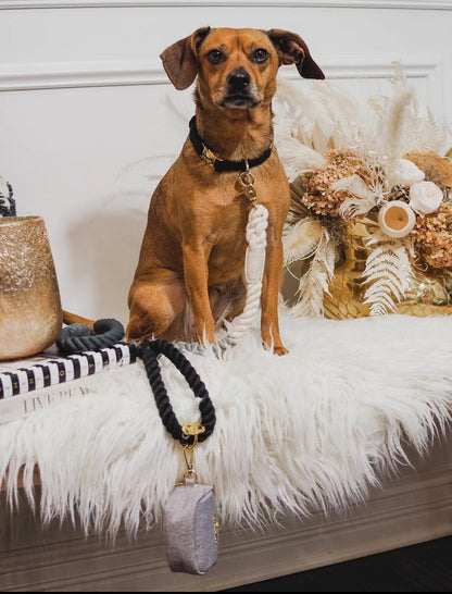 Brown dog on a fur throw wearing a dark rope collar with a stone pendant.