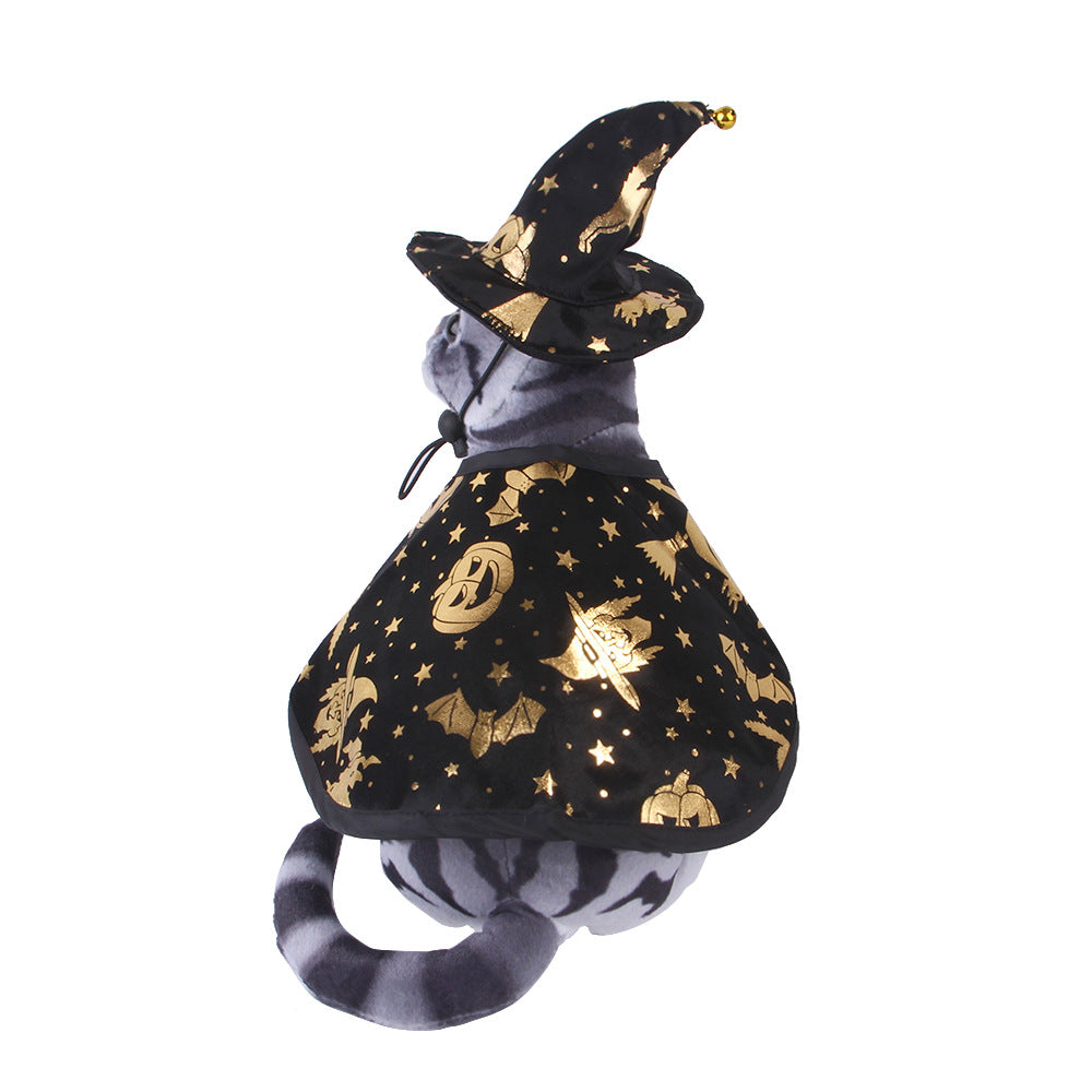 Cat seen from behind in the star print cape and pointed hat.