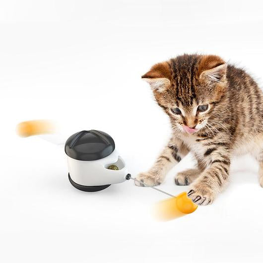 Tabby kitten reaching for the orange ball while the self play cat toy lies on its side on the floor