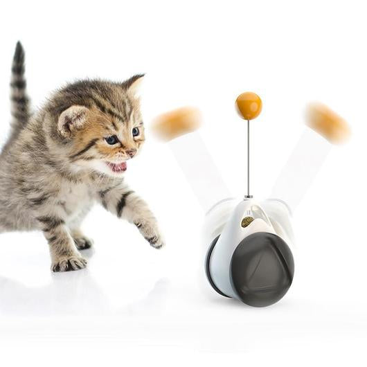 Kitten pouncing toward the self play cat toy as its orange ball swings side to side on the spring wire