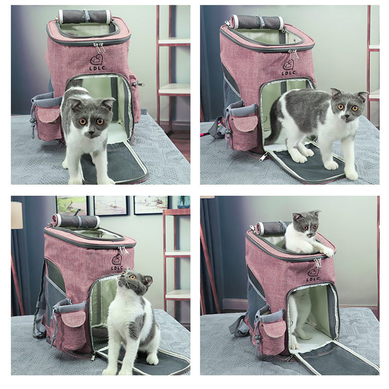 Four views of a cat entering and sitting inside the pink backpack carrier.