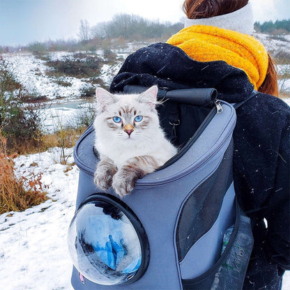 Person in snow carrying a blue capsule backpack with a cat looking out.