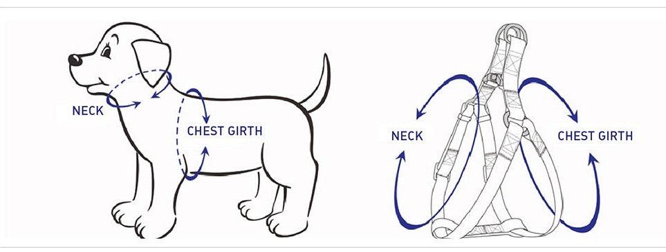 Line diagram of a dog showing where to measure the neck and the chest girth for harness sizing.