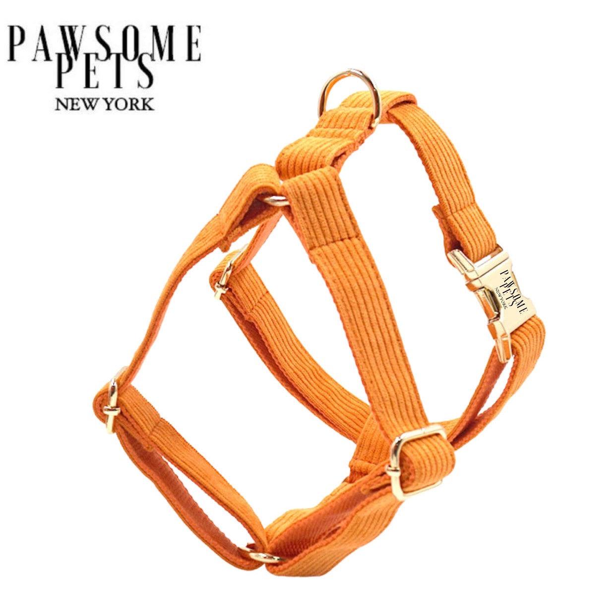Orange step-in dog harness in printed polyester webbing.