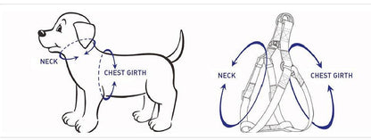 Line diagram of a dog showing where to measure the neck and the chest girth for harness sizing.