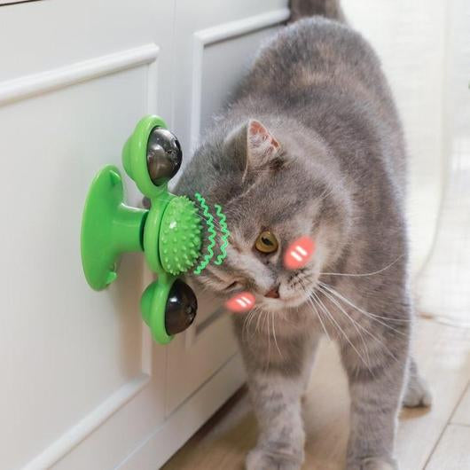 Gray cat rubbing its cheek on a green suction cup windmill cat toy stuck to a white cabinet door