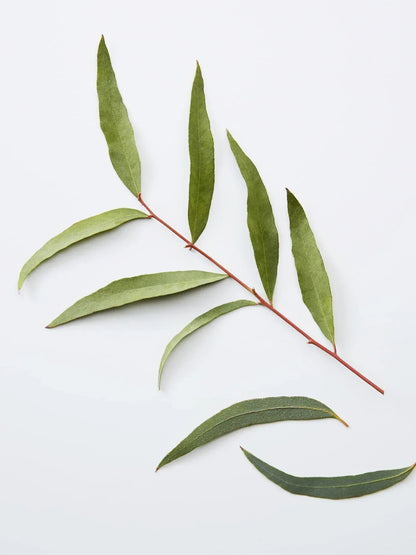 American Crew 3-IN-1 Chamomile + Pine 450ml-2