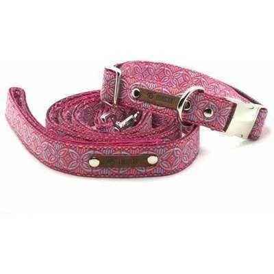 Regal Canine Parade Dog Lead - Finnigan's Play Pen-3
