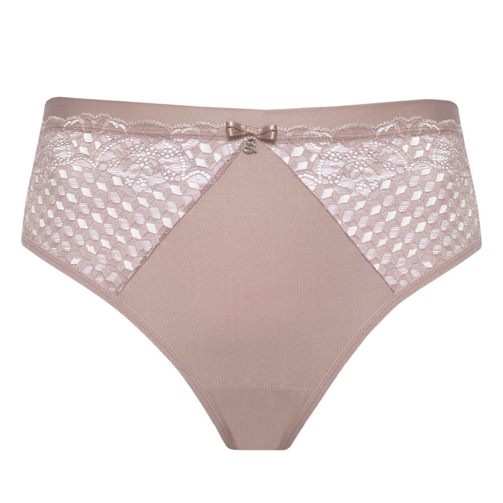 Sheer Mesh Tulle Lace Brief Panty Rosalia-2