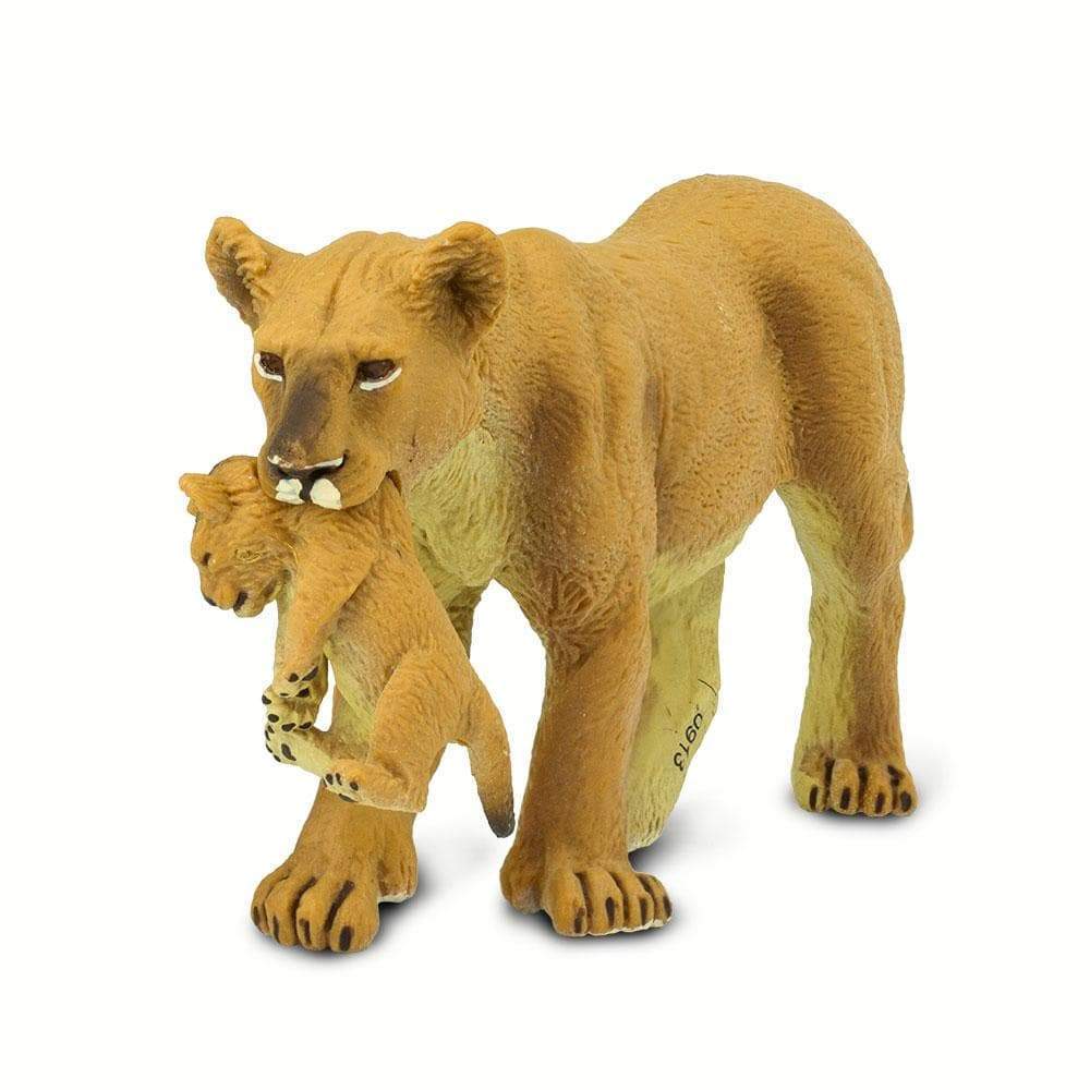 Lioness and cub at three quarters from the front on white, both faces turned toward the camera