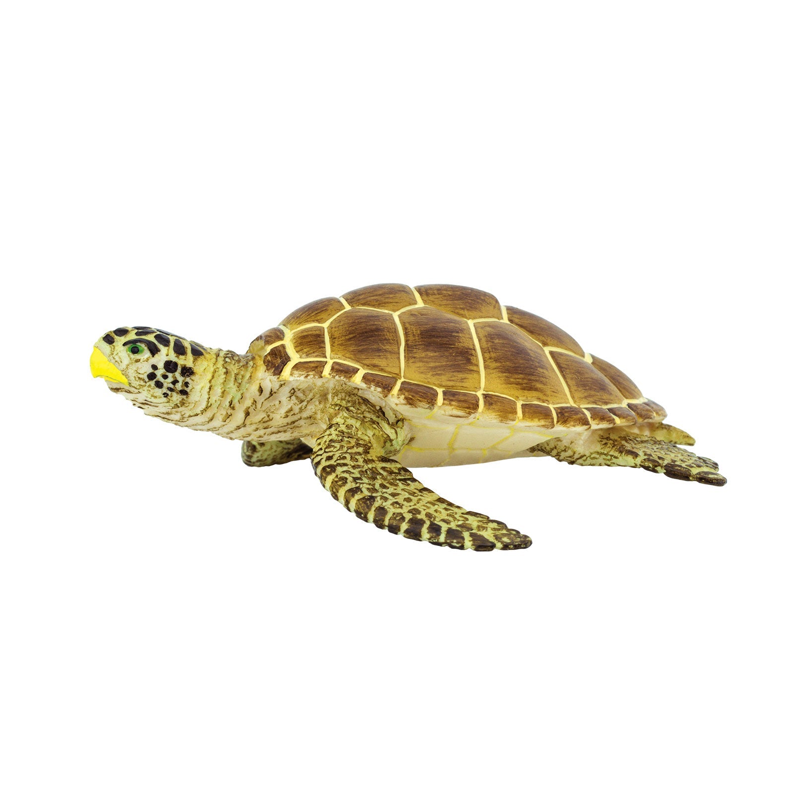 Loggerhead sea turtle figurine in a swimming pose on white, front flippers extended forward
