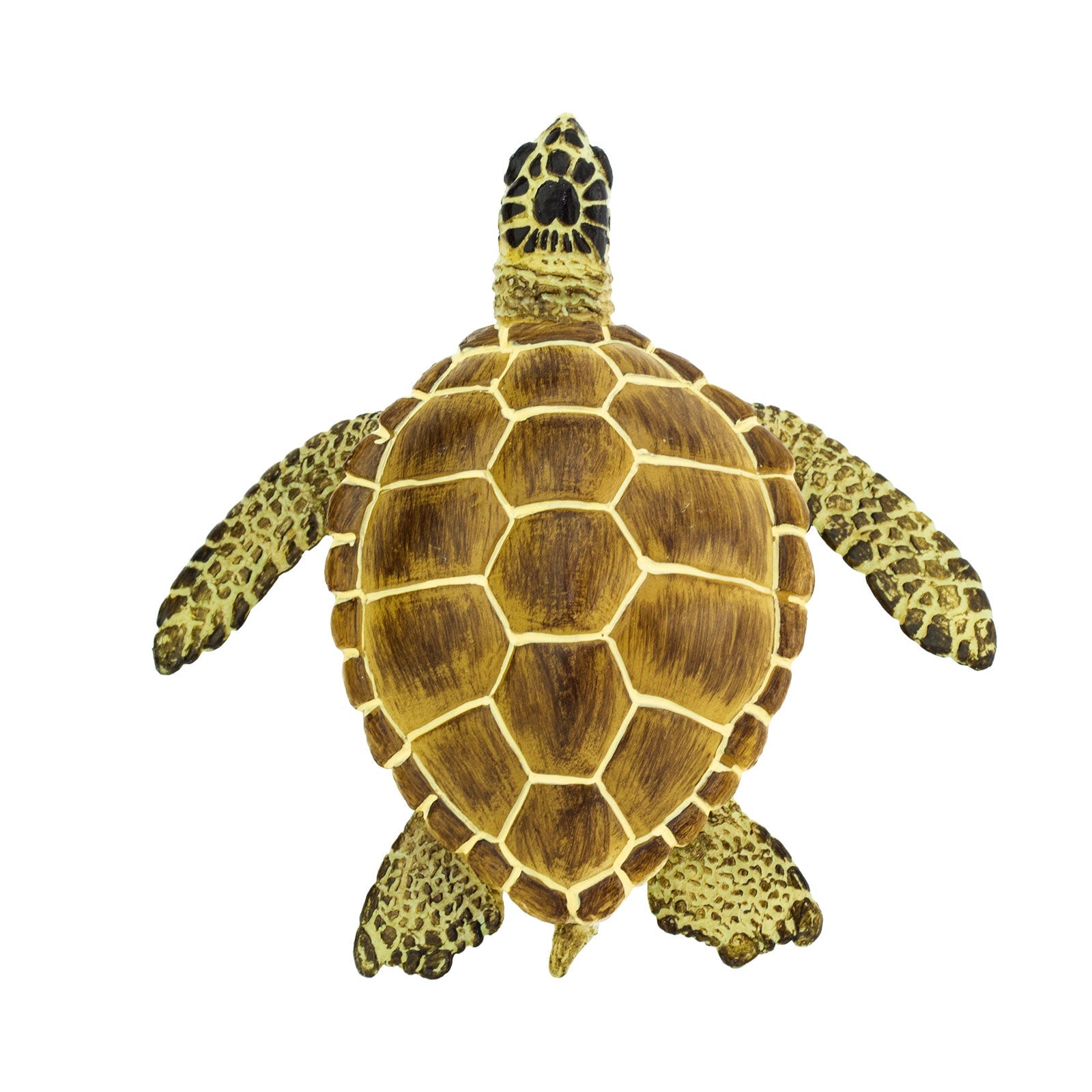 Loggerhead sea turtle figurine from directly above on white, all four flippers spread wide