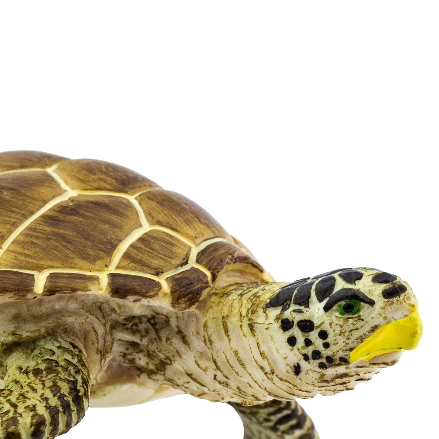 Close crop of the turtle head and front flipper, the yellow beak and dark markings picked out