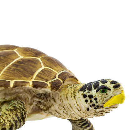 Close crop of the turtle head and front flipper, the yellow beak and dark markings picked out