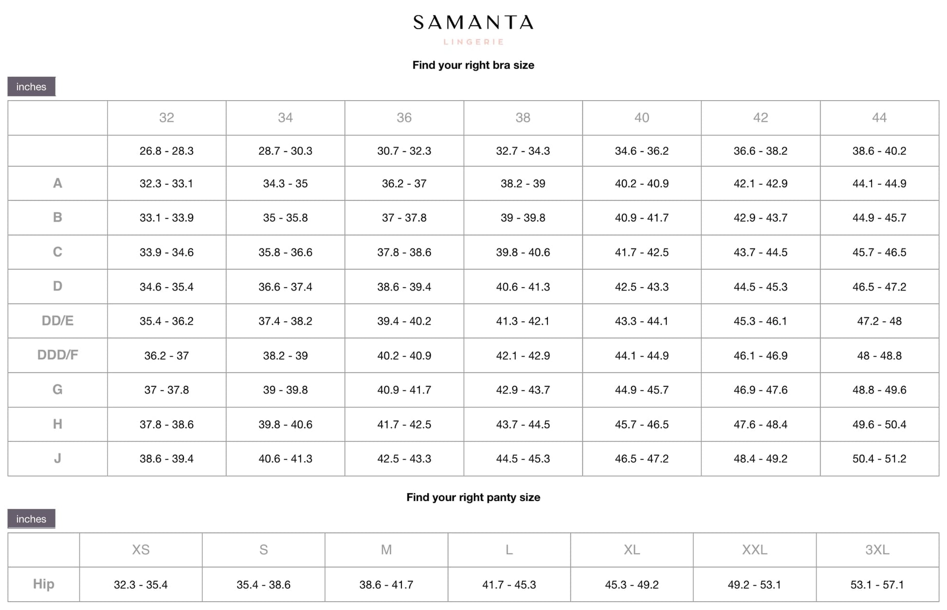 Sheer Mesh Tulle Embroidered Brief Panty Valeria Biscuit-4